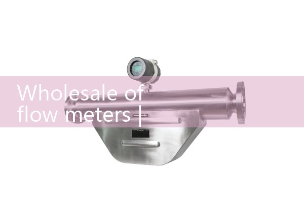 Wholesale of flow meters
